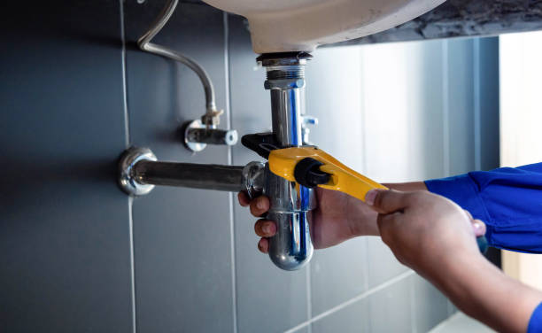 Best Drain Cleaning and Unclogging  in Penitas, TX